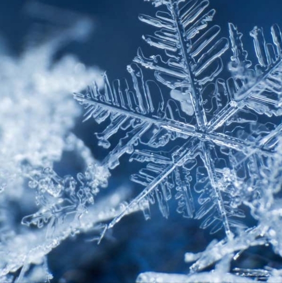 Meet your Posher, Marsha - Picture 1 of 16